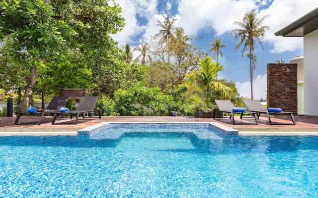 Villa Cashew Nut