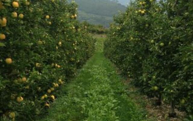 Agritur Le Pergole