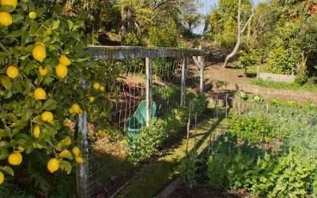 Lakeview Heights B&B Farmstay