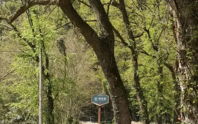 No.5 Campground, Ludongjia, Lu County