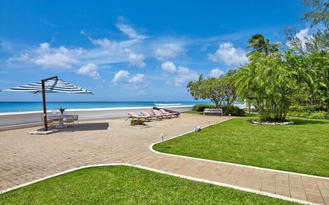 High Trees Blue Sky Luxury