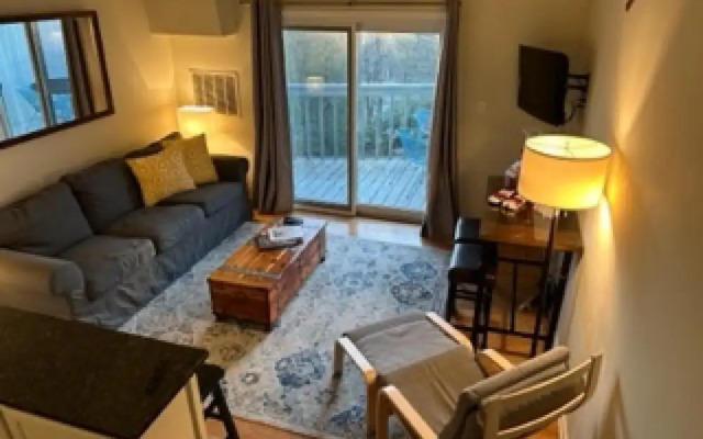 Condo Wintergreen pet Friendly Pool Access