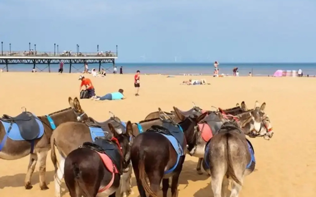 Seaside Caravan , Free Wifi , Pet Friendly