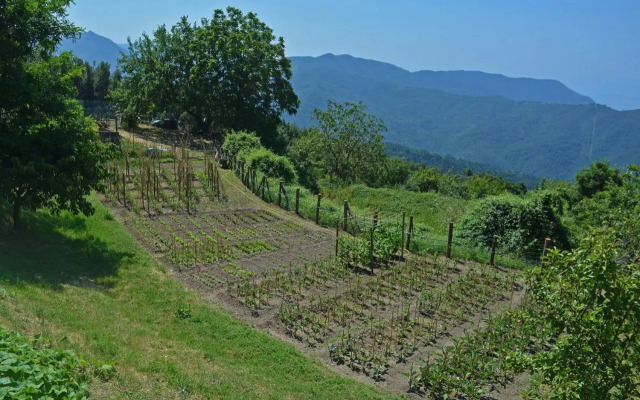 Agriturismo Monte Pu'