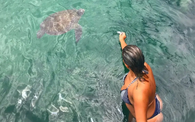 Pousada Convés Ilha Grande