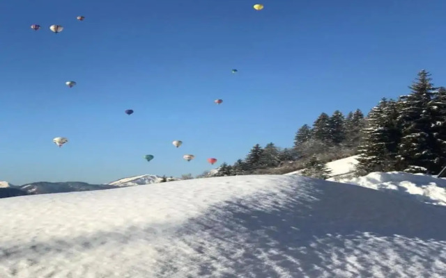 Stylish Chalet in Charming Megeve