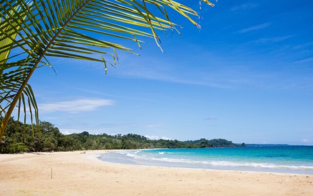 The Island Hub at Red Frog Beach Resort