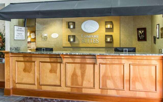 Comfort Suites Airport