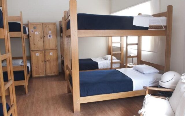 Flying Dog Hostels