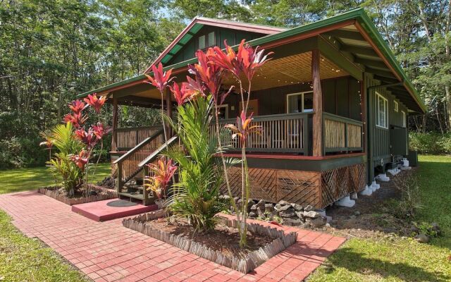 The Coqui Shack 2 Bedroom Cabin by Redawning
