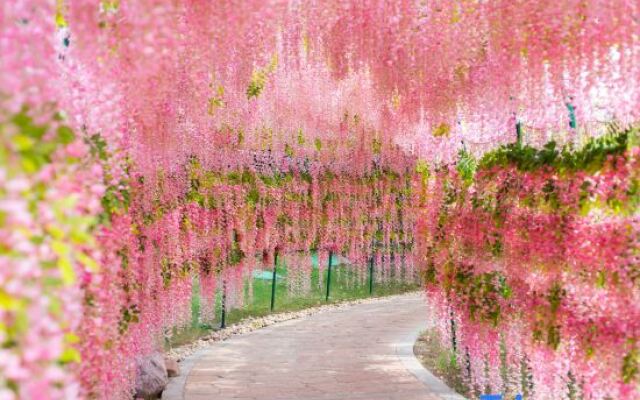Yinji Huangdi Palace Yu Hot Spring Hotel (Animal Kingdom)