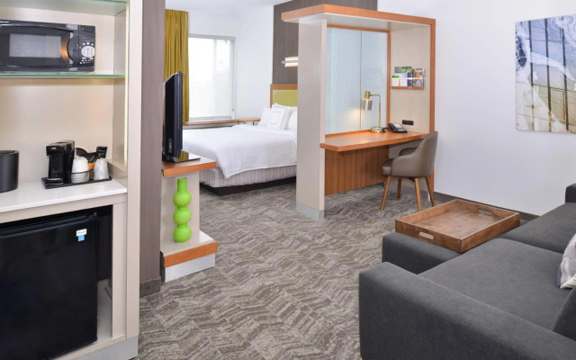SpringHill Suites by Marriott Ashburn Dulles North