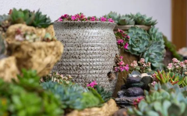 Your Anyushe Homestay