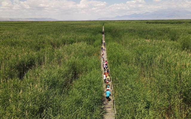 Sultan Pansion Bird Paradise