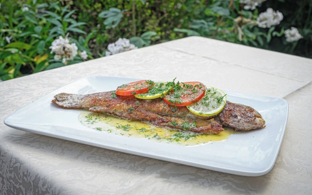 Gasthof Pension Zur Traube