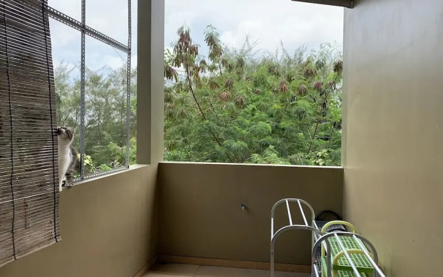 Green Homestay