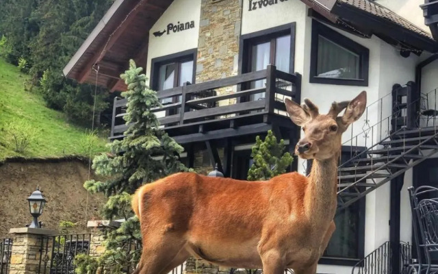 Pensiunea Poiana Izvoarelor