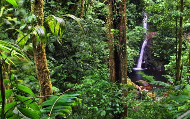 Senda Monteverde Hotel Member of the Cayuga Collection
