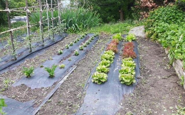 Casa Vacanze Germano