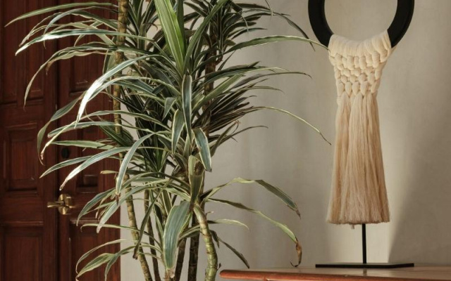 Hotel Hércules