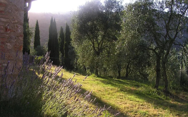 Charming House in Tuscany With Pool & Views