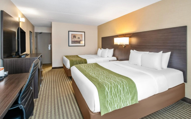 Comfort Inn Chatham