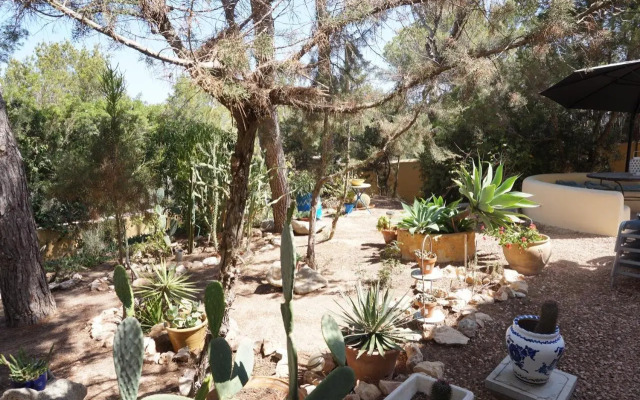 Casa la Paloma