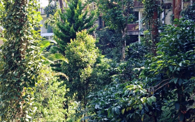 Oxygen Resorts Wild Corridor