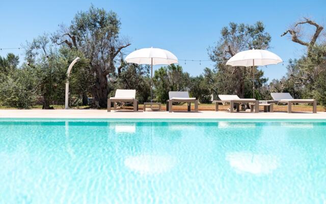 Stunning Villa Surrounded by Olive Trees - Beahost