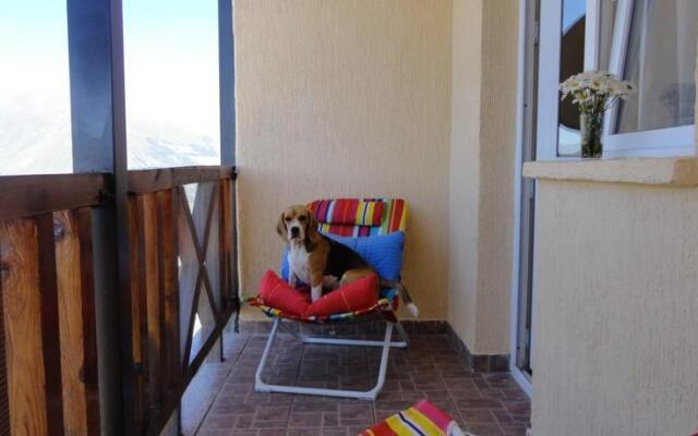 GoGudauri Pent House