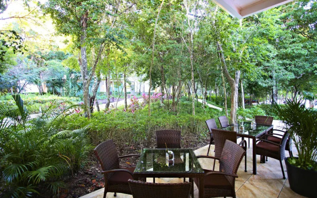 Loft with Jungle View hosted by Olahola