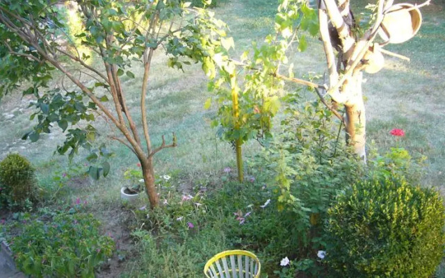 Guest House With The Wooden Plough