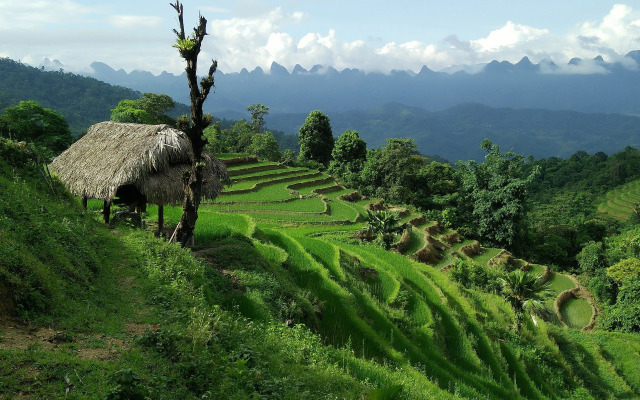 Puluong Home - Hostel