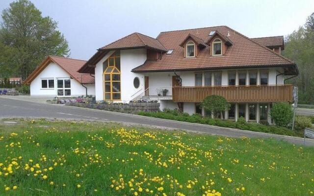DZT-Schwarzwaldhotel garni