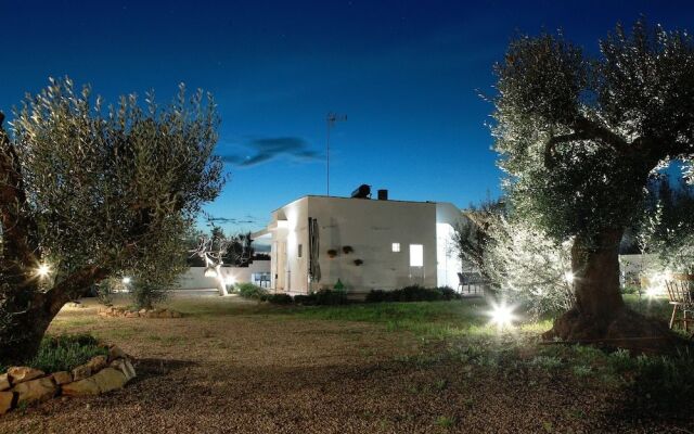 Salento Bed Dhu