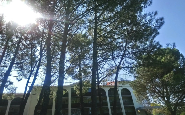 Residence Anglet Biarritz Parme