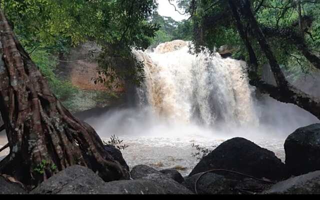 Pakchong hostel & wildlife tour