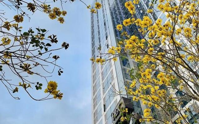 Shenzhen Zhenxin Luxury Apartment