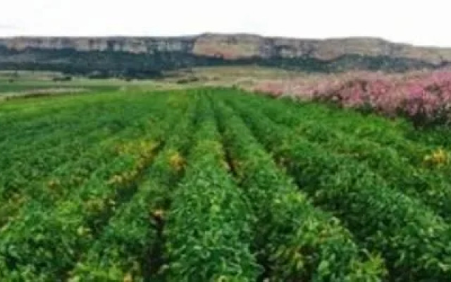 Roodepoort Farm Self Catering