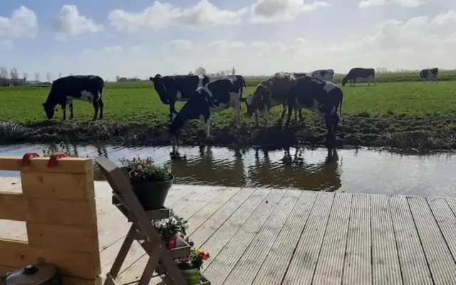 Jacuzzi, Cows, Dairyfarm, Relaxing, Sleeping