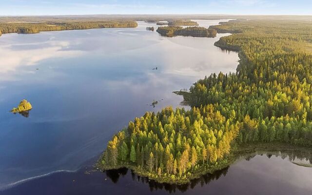 Virsuniemi
