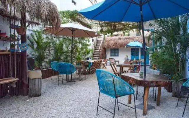 La Gran Mosca Verde Hostel