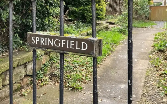 One Springfield Tain