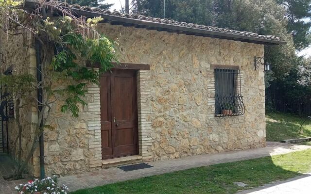 All'Ombra di San Damiano