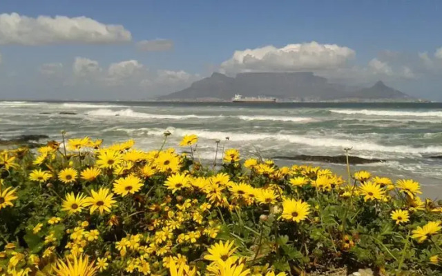 Bloubergsands Holiday Home