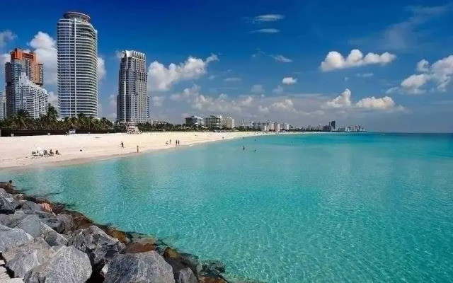 Miami Stay With Pool Luxury