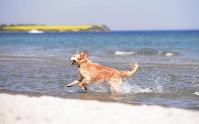 Strandvilla Hubertus Boltenhagen - Ferienwohnungen Apartment Mit Parkplatz Wlan Kuche Garten Grillplatz Waldbaden