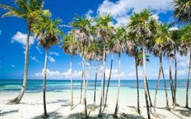 Lorcrimar Puerto Banus