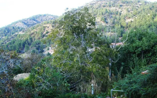 The Marjay Inn