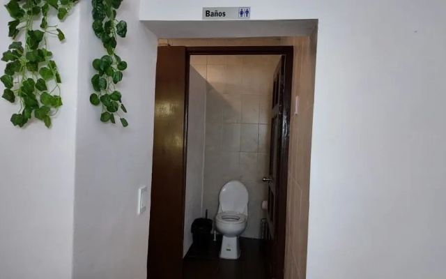 Loft Los Pinos